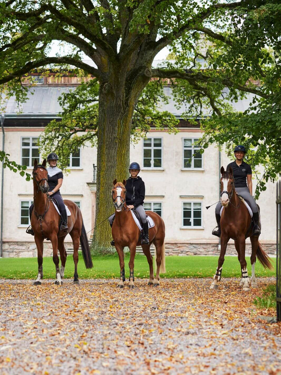 Umweltbild drei Reiter in Noomi Chantelle Reitkleidung jeder auf einem braunen Pferd in einer schönen Villa